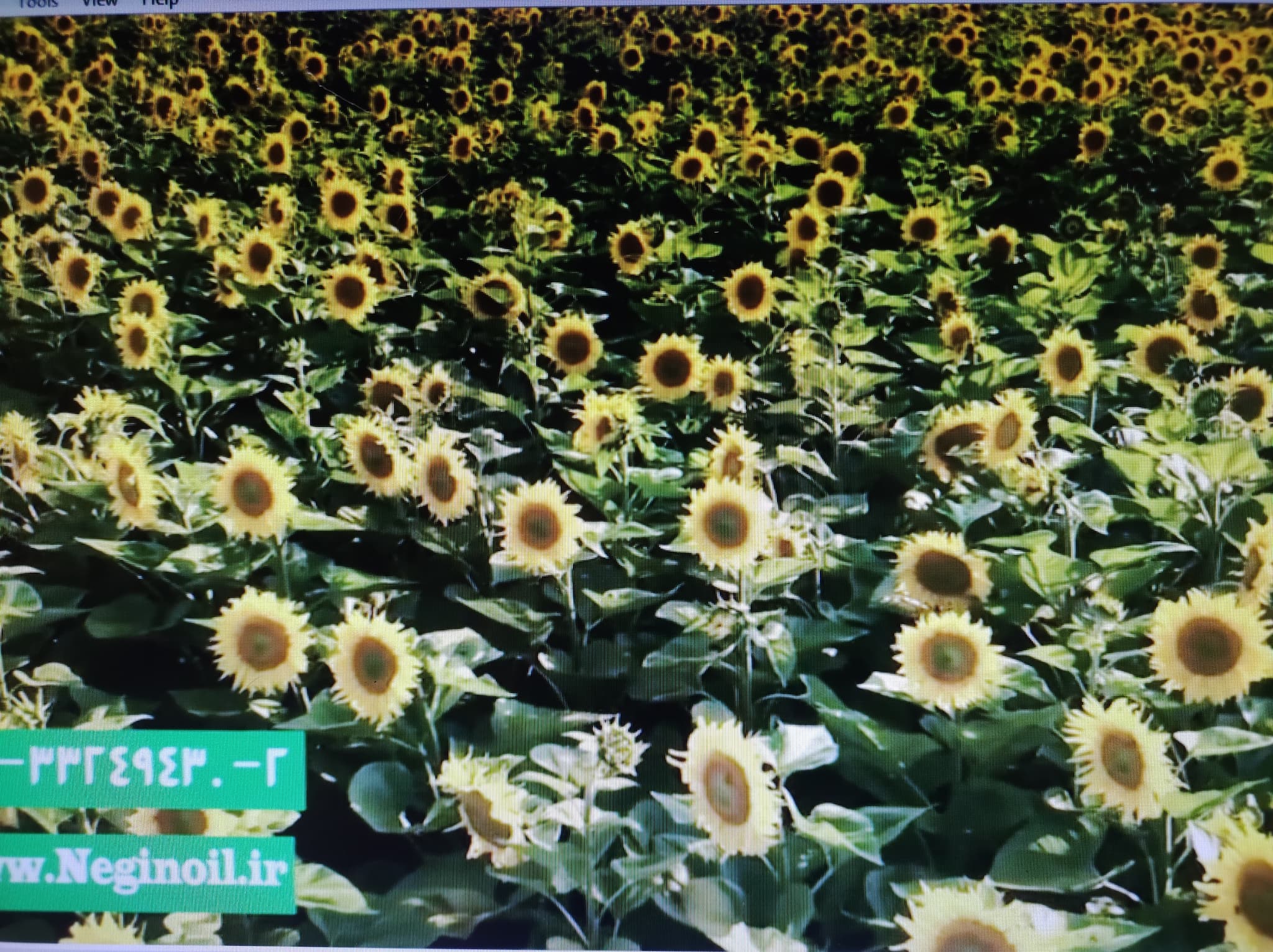 test